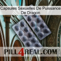 Dragon Power Sexual Capsules 31